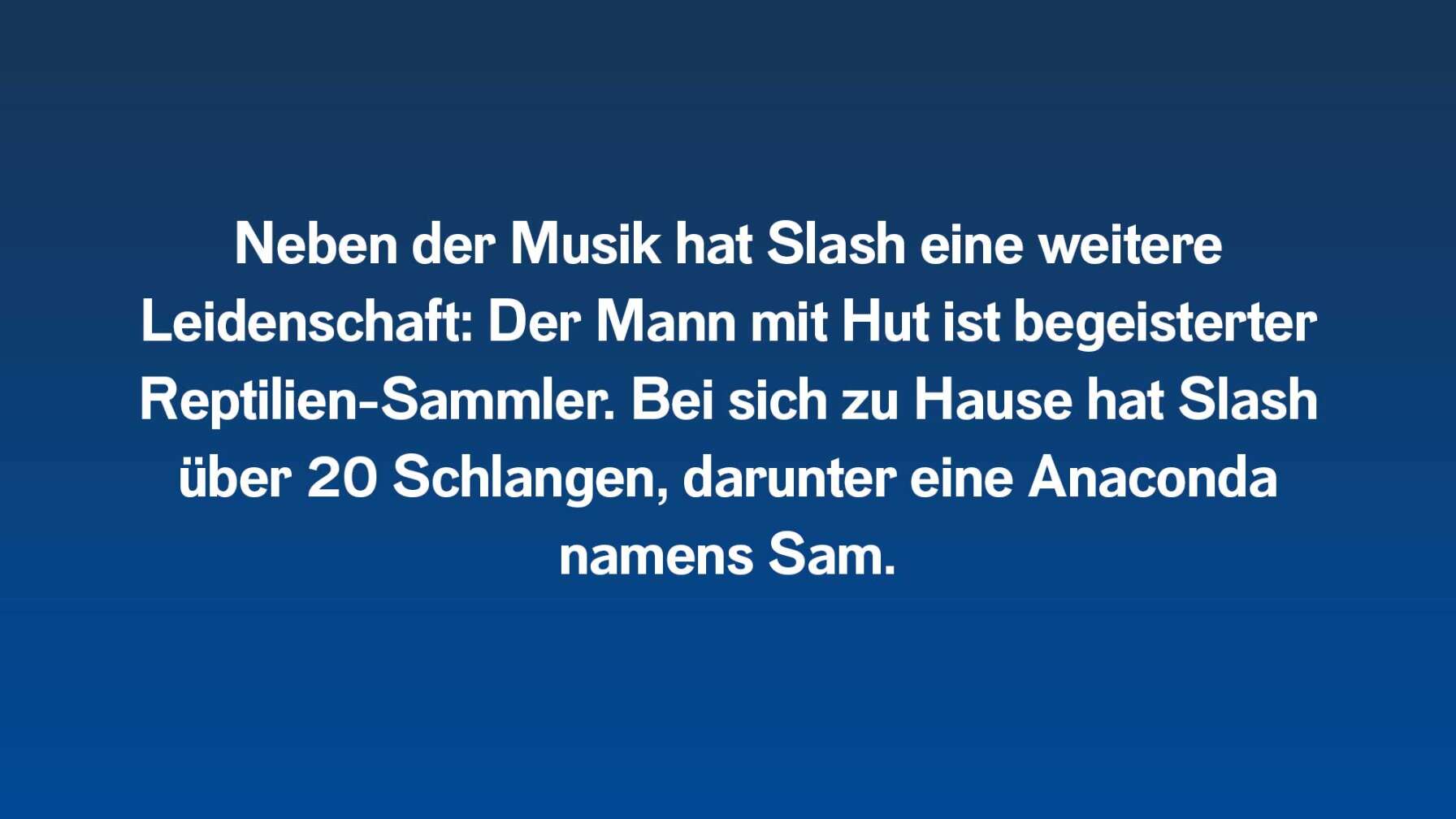 Neben der Musik hat Slash eine weitere Leidenschaft: Der Mann mit Hut ist begeisterter Reptilien-Sammler. Bei sich zu Hause hat Slash über 20 Schlangen, darunter eine Anaconda namens Sam.