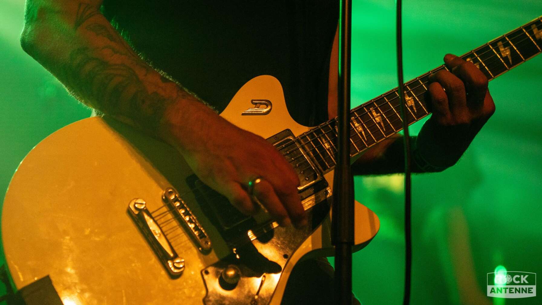 Alex Mofa Gang als Support für Alkaline Trio im Münchner Backstage vom 11.08.2024