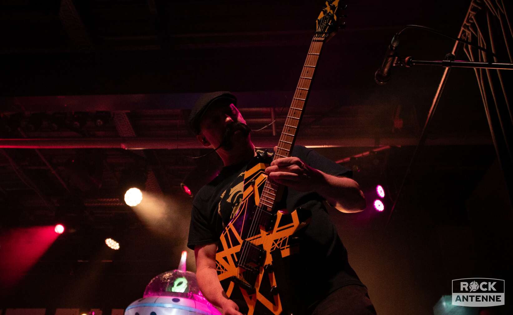 Konzertfotos von Zebrahead